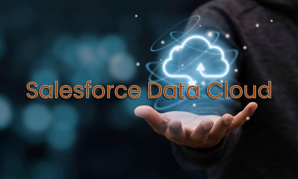 Salesforce Data Cloud