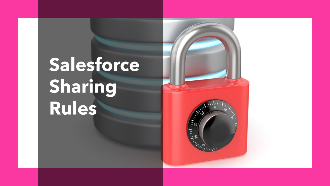 Sharing Rules in Salesforce